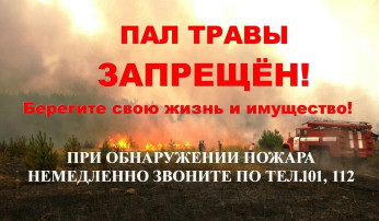 Весенний пал травы - опасная традиция! Весенний пал травы - опасная традиция!.
